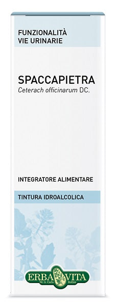 erba vita group spaccapietra tintura idroalcolica 50 ml ebv erba vita ean 0767787927134