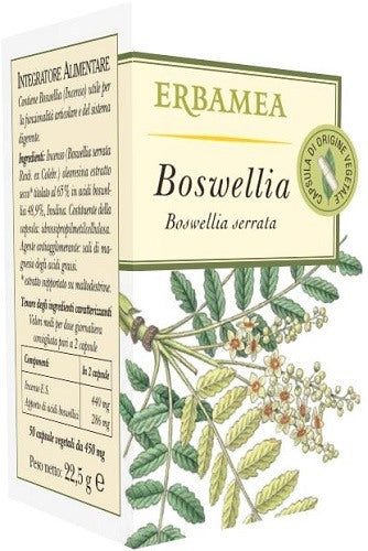 erbamea boswellia 50 opercoli erbamea ean 8032841634375