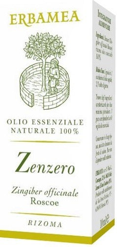 erbamea zenzero 10 ml erbamea ean 8032841633903