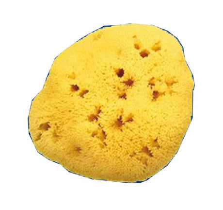 farmacare spugna naturale fori l 1213cm 9 farmacare