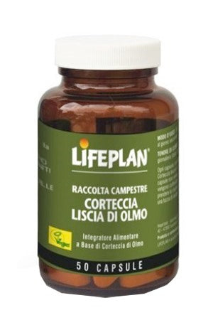 lifeplan products corteccia liscia di olmo 50 capsule lifeplan ean 5019205001250