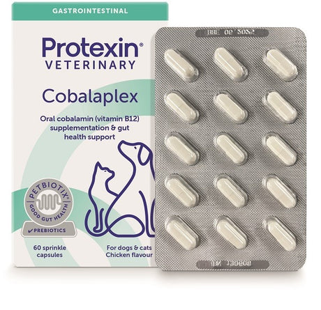 nessuno cobalaplex 60 capsule ean 5027314499486