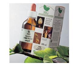 sangalli ribes macerato glicerico 100 ml sangalli