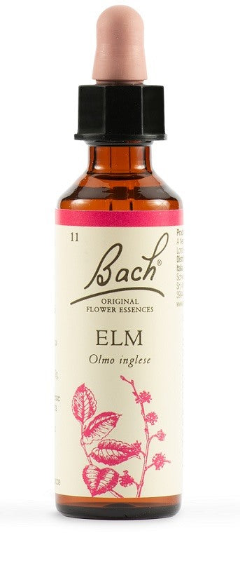 schwabe pharma italia elm bach orig 20 ml schwabe pharma italia ean 5000488300291