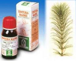 specchiasol equiseto 12 50ml tm specchiasol ean 8002738820662