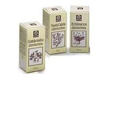 viprof diretto nepeta cataria estratto analcolico 50 ml ecol